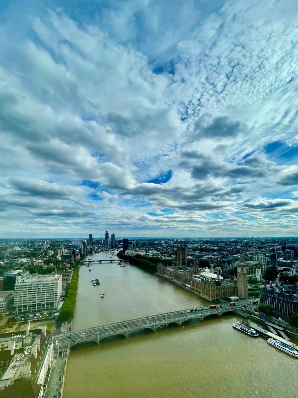 View of the Thames from the London Eye.