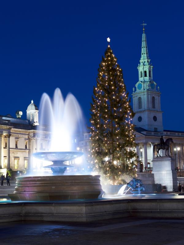 Christmas tree and a fountain.