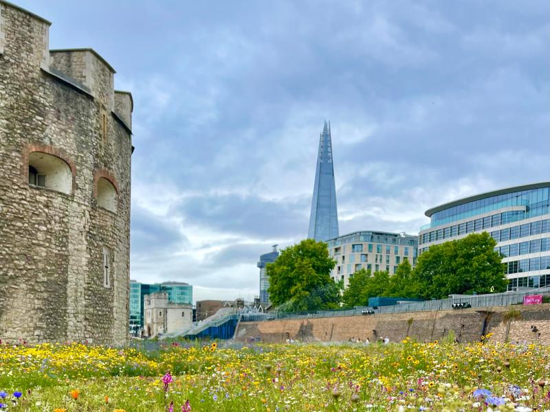 View of the Shard from the Tower of London moat.