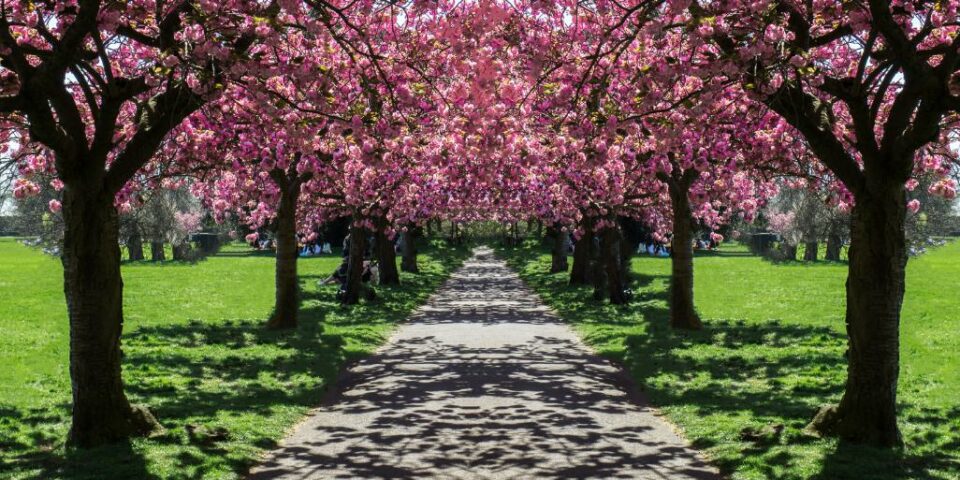 London Weather in March April Insights