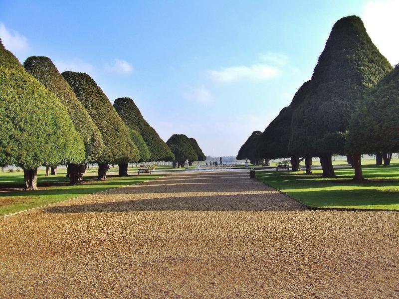 Hampton Court Palace avenue.