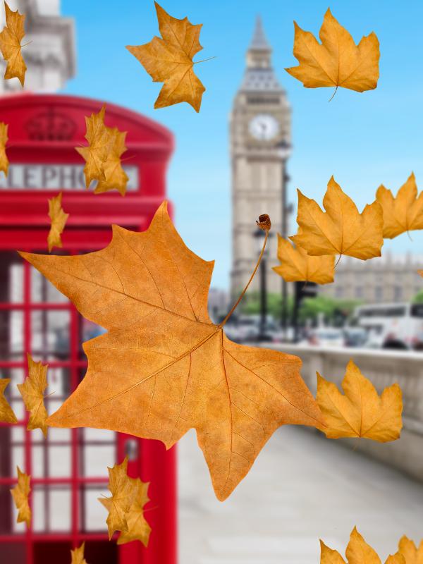 Big Ben and a red London phone box with autumn leaves blowing across them.