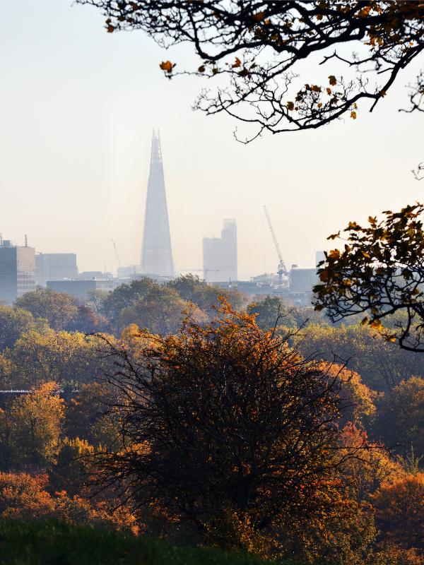 The Shard in the background with London parks and colourful trees in the foreground.