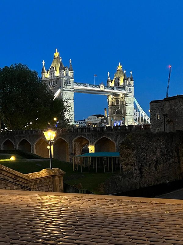 Tower of London VIP tour - view of Tower Bridge