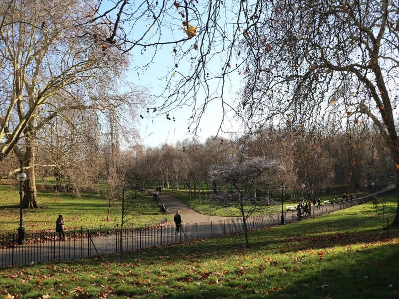 Hyde Park in winter.