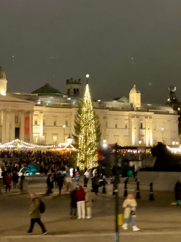 The Norwegian Christmas tree in Trafalgar Square with the National Gallery behind it.