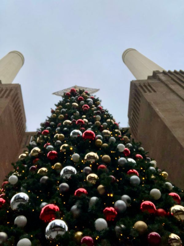 The Christmas tree in front of Battersea Power Station's chimneys.