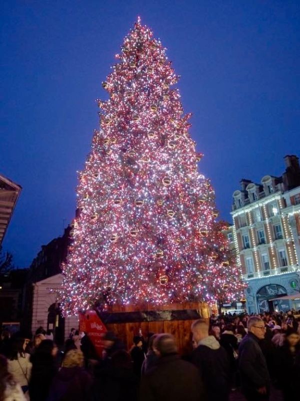 The Covent Garden Christmas tree lit up in the piazza at dusk.