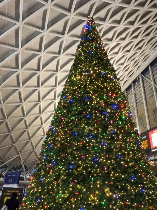 The Christmas tree under the lattice roof of King's Cross station concourse.