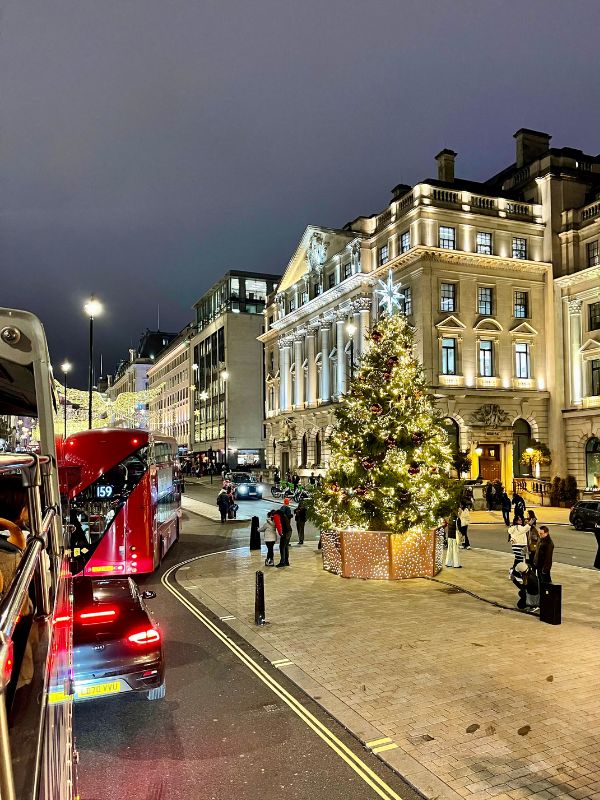 A Christmas tree lit up in Waterloo Place, St James's, with the Regent Street lights behind and a red bus passing.