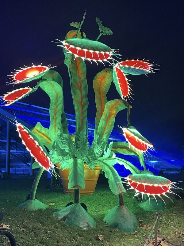 Giant illuminated Venus flytrap light sculpture on the Christmas at Kew trail