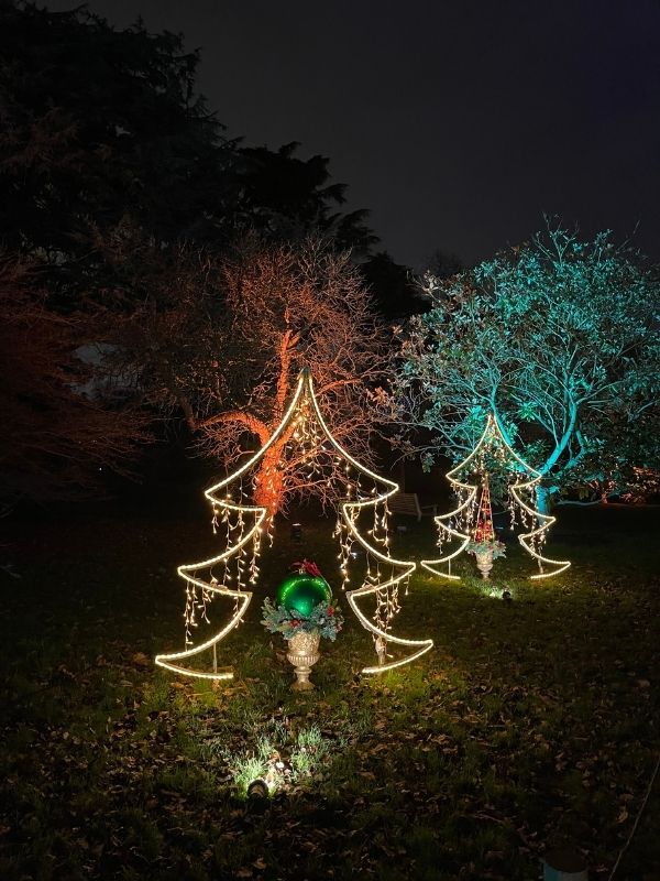 Illuminated tree sculptures on the Christmas at Kew light trail after dark