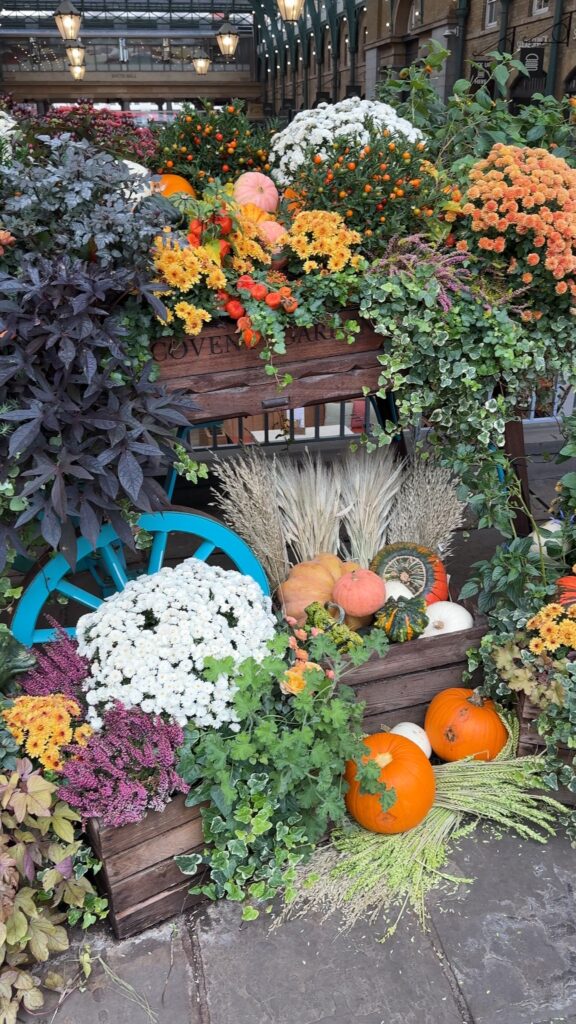 Autumn display of pumpkins, gourds, chrysanthemums and wheat sheaves on the market barrows at Covent Garden in October