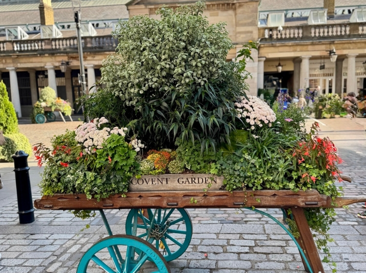 Events in London in September: a wooden cart filled with flowers in Covent Garden