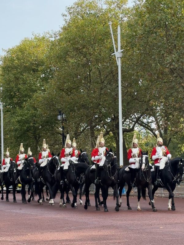 A column of mounted Household Cavalry riding down the Mall past the trees